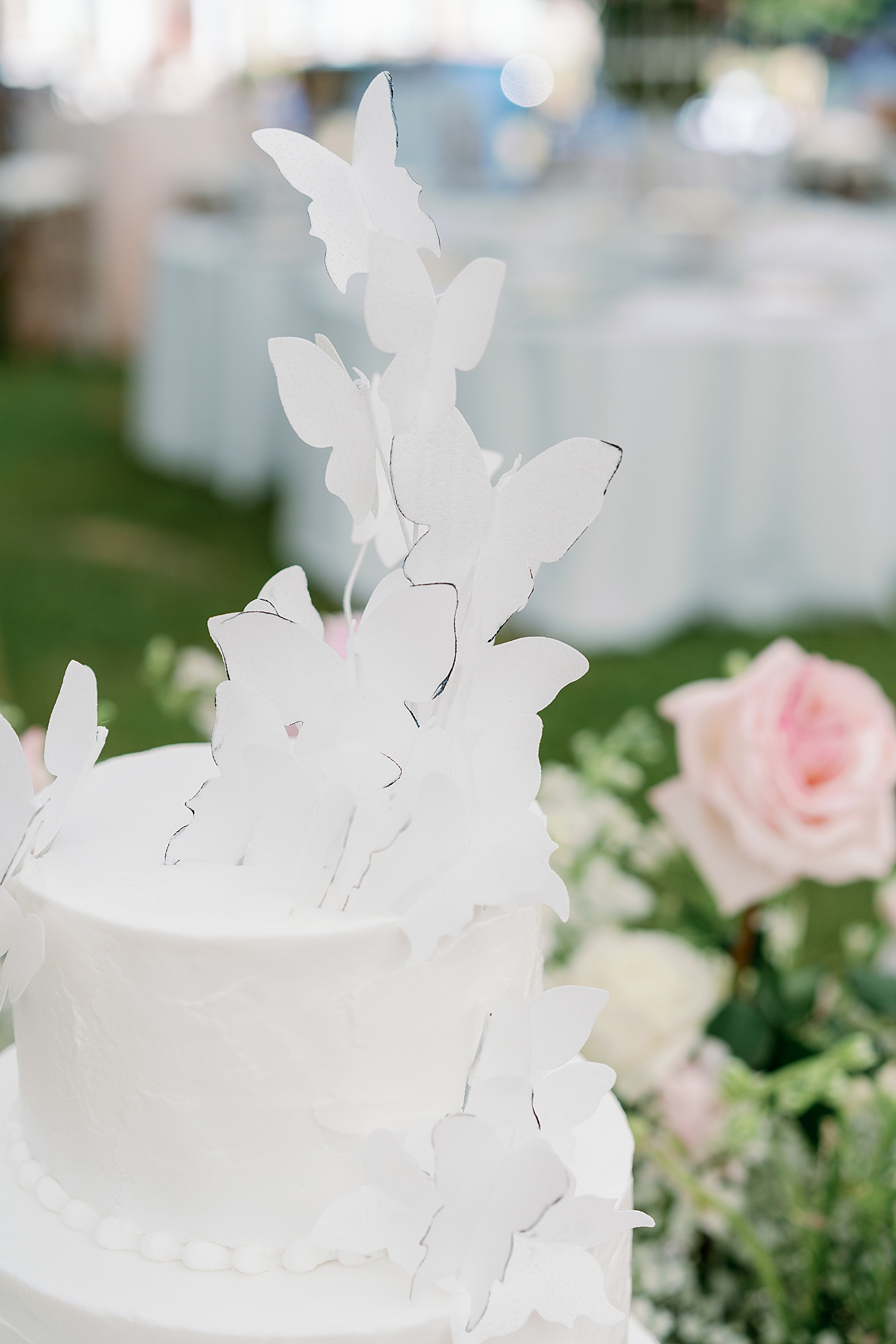 during Butterfly Inspired Backyard Wedding | Image by Annie Laura Photo